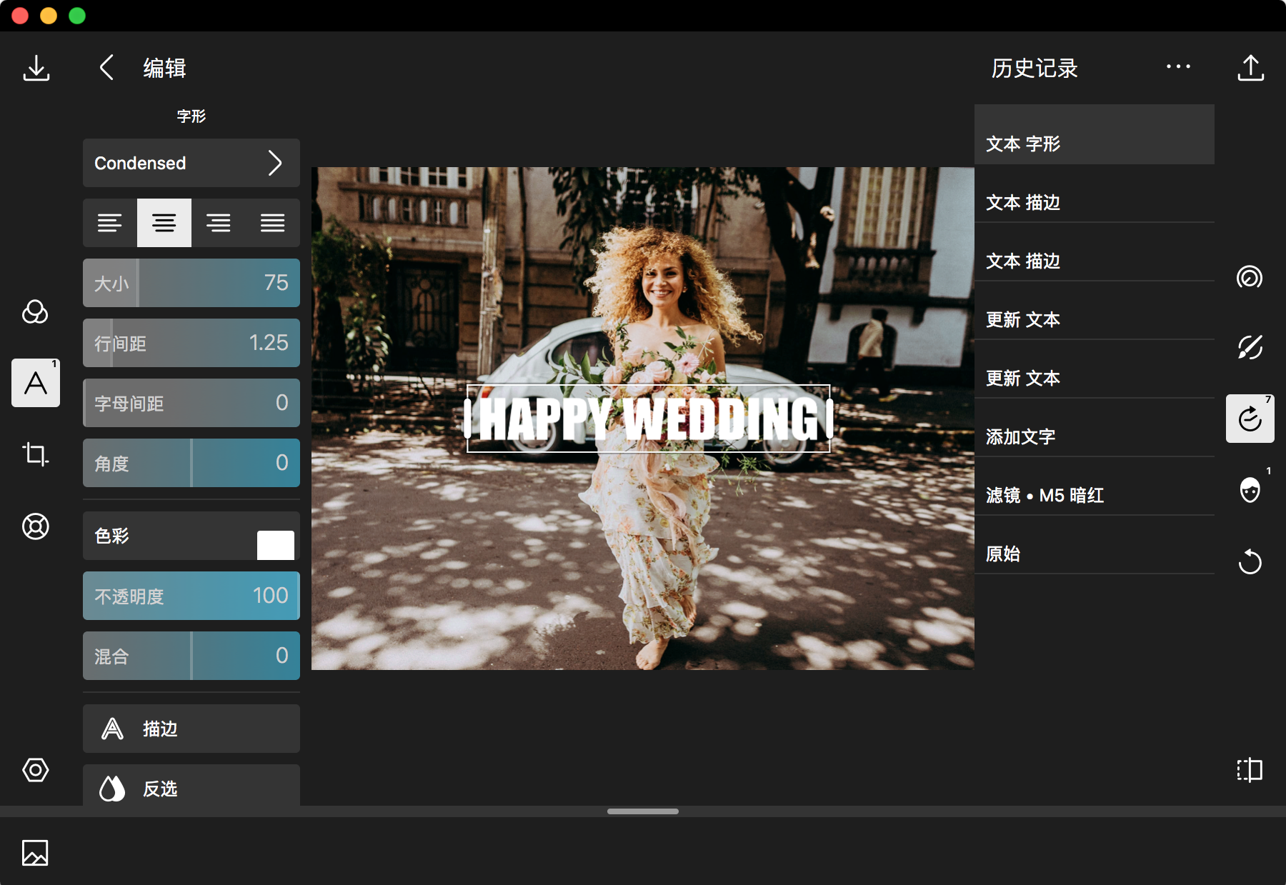 Polarr Photo Editor 5.10.8 高级修图软件