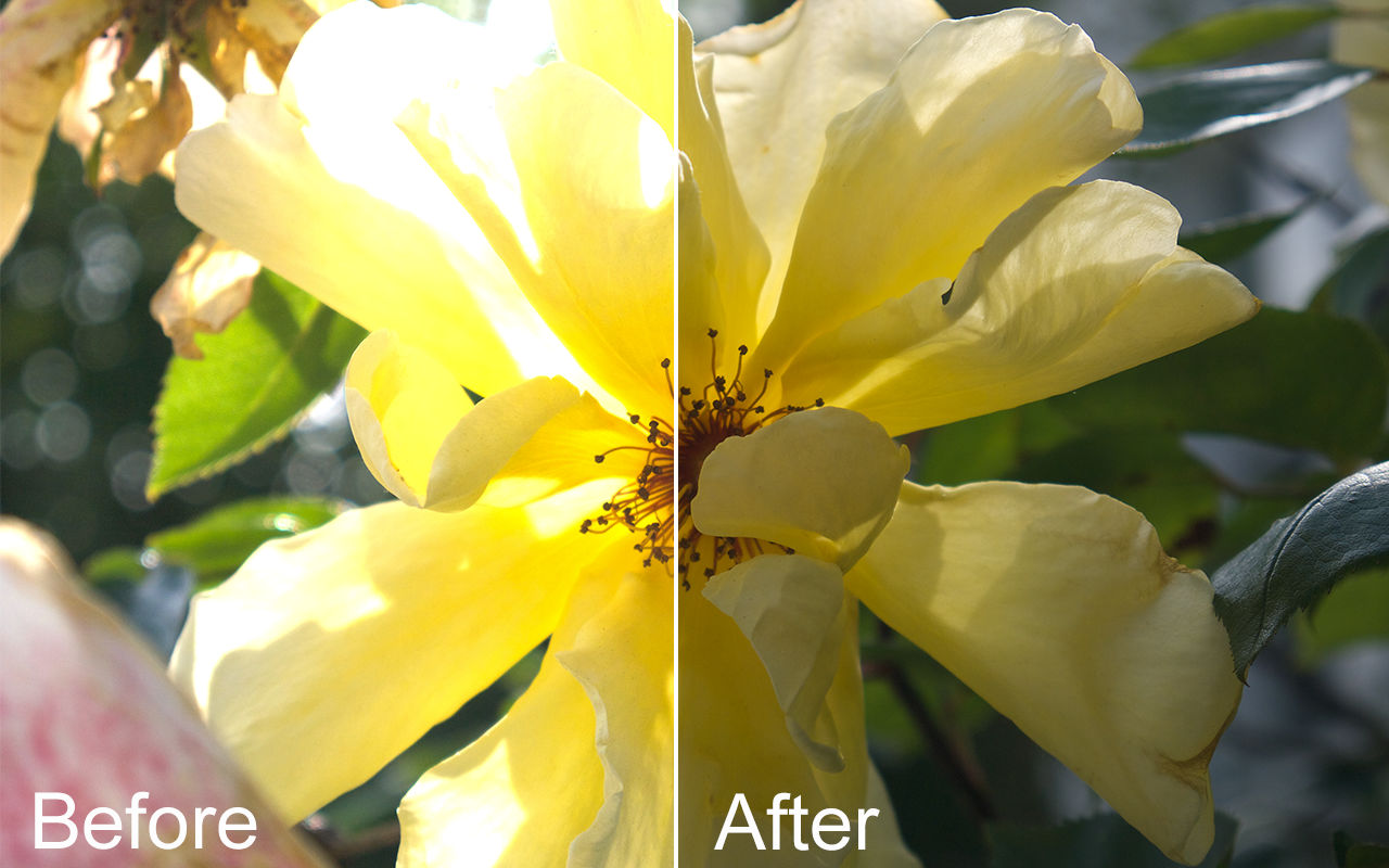 Poto Editor 2.3 照片编辑软件 Poto Editor 2.3 照片编辑软件