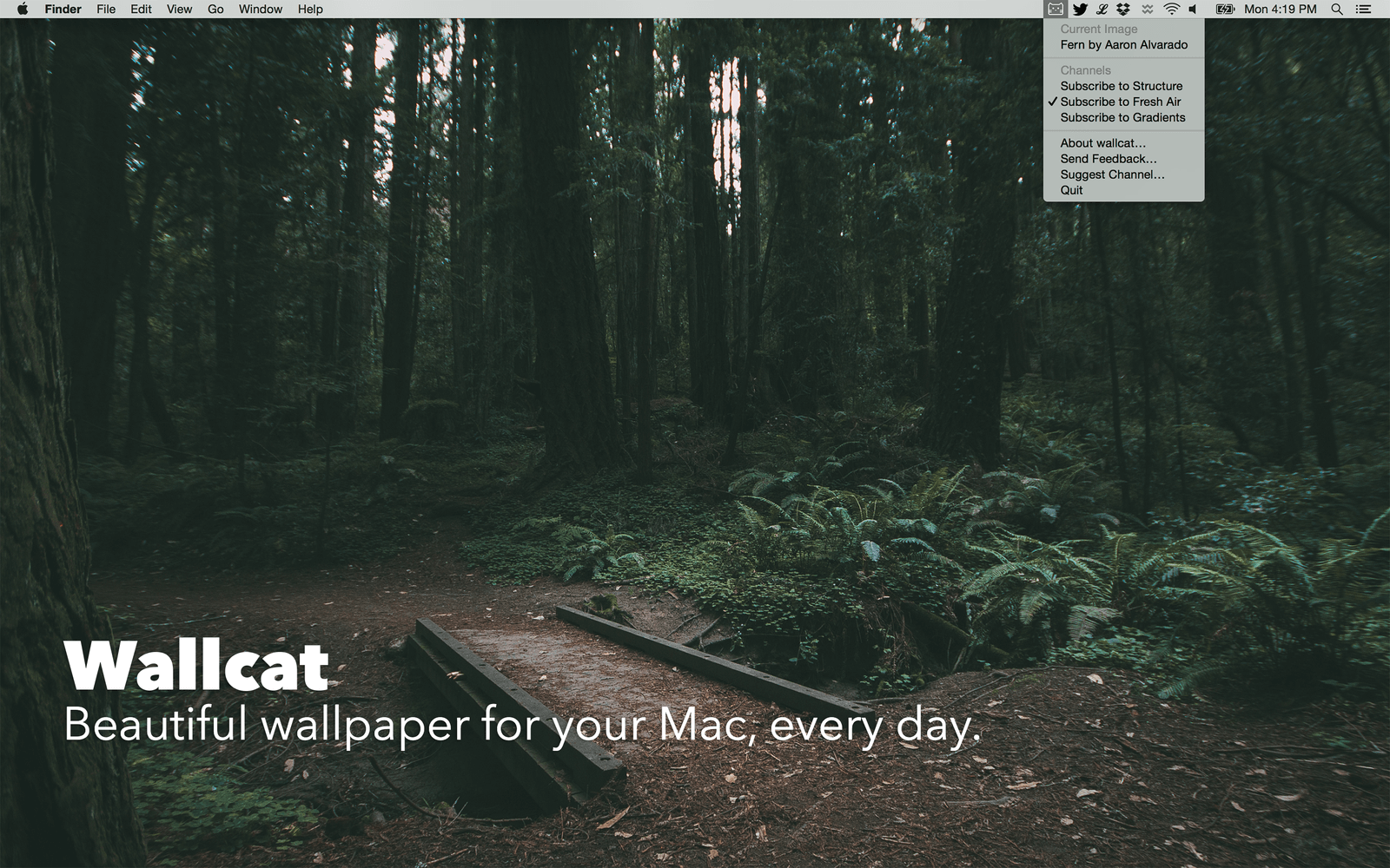 Wallcat 1.3.0 壁纸软件 Wallcat 1.3.0 壁纸软件