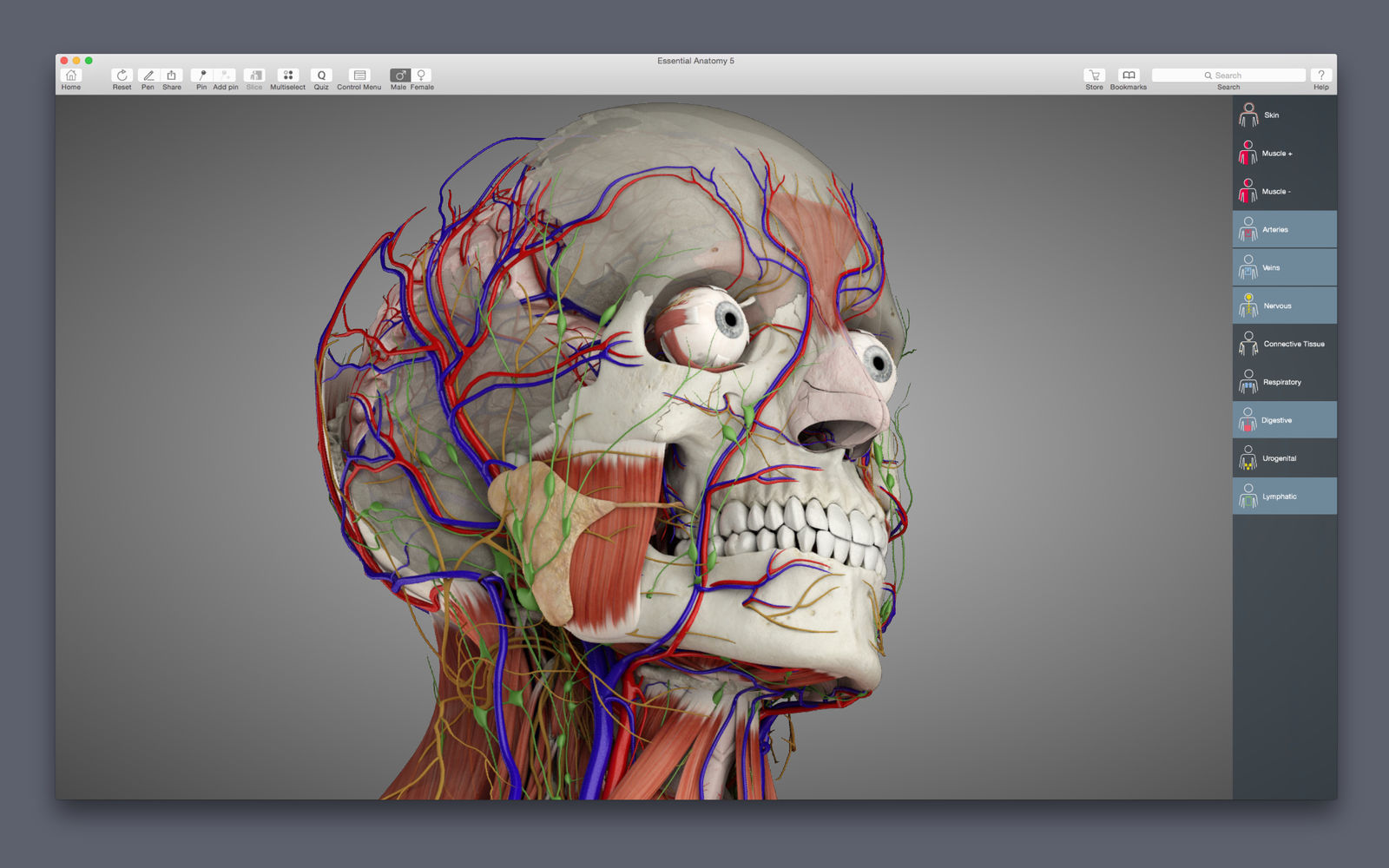 Essential Anatomy 5.0 人体解剖学软件 Essential Anatomy 5.0 人体解剖学软件