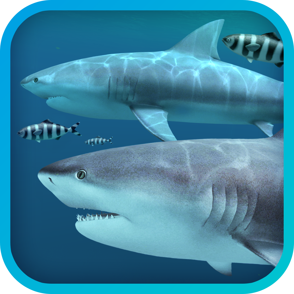 Sharks 3D 2.1.0 3D动态鲨鱼壁纸 Sharks 3D 2.1.0 3D动态鲨鱼壁纸