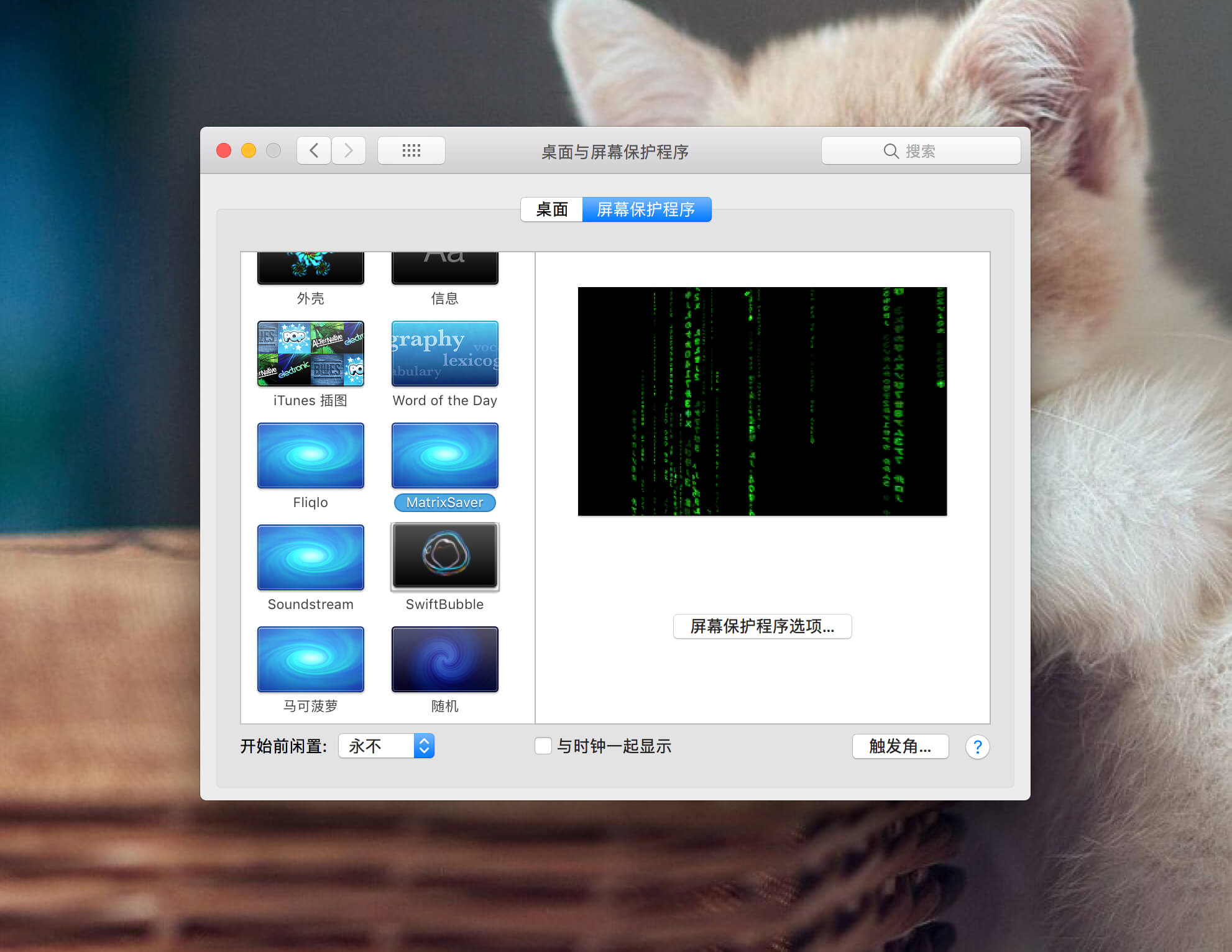 MatrixSaver 1.0 黑客风创意屏保 MatrixSaver 1.0 黑客风创意屏保