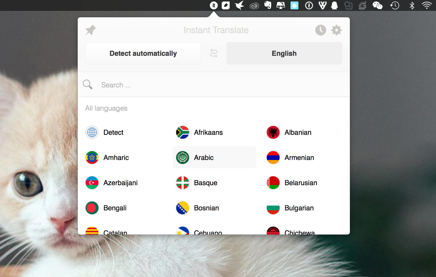 Instant Translate 1.2.0 即时翻译工具