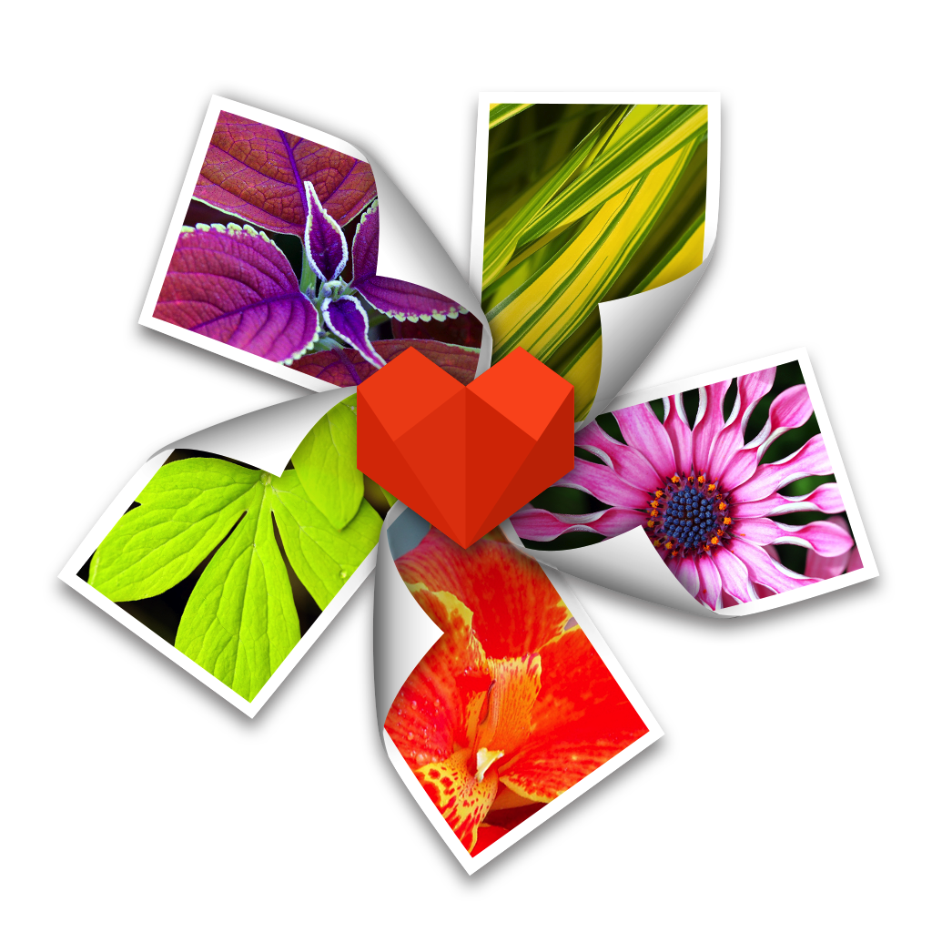ArcSoft Photo+ 3.0.90138 图形设计 ArcSoft Photo+ 3.0.90138 图形设计