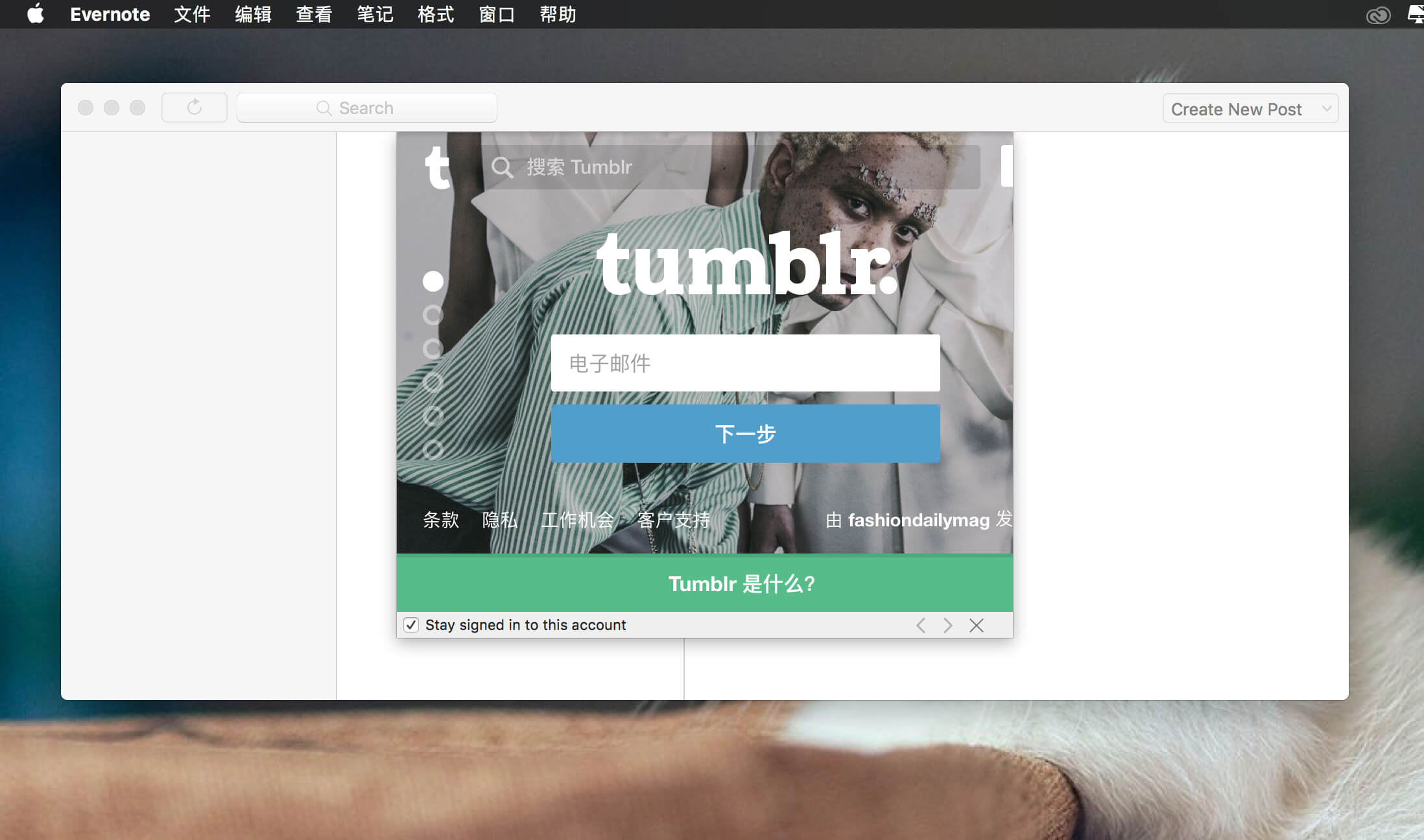Milk 2.3.3 Tumblr桌面增强客户端 Milk 2.3.3 Tumblr桌面增强客户端