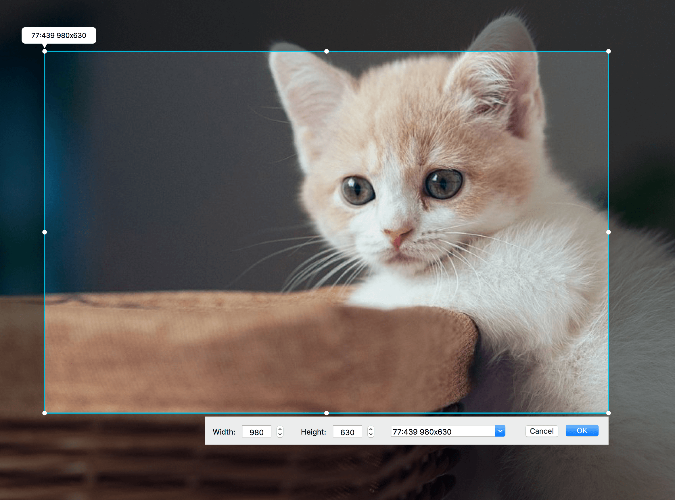 Apowersoft Mac Screen Recorder 2.7.8 屏幕录像工具 Apowersoft Mac Screen Recorder 2.7.8 屏幕录像工具