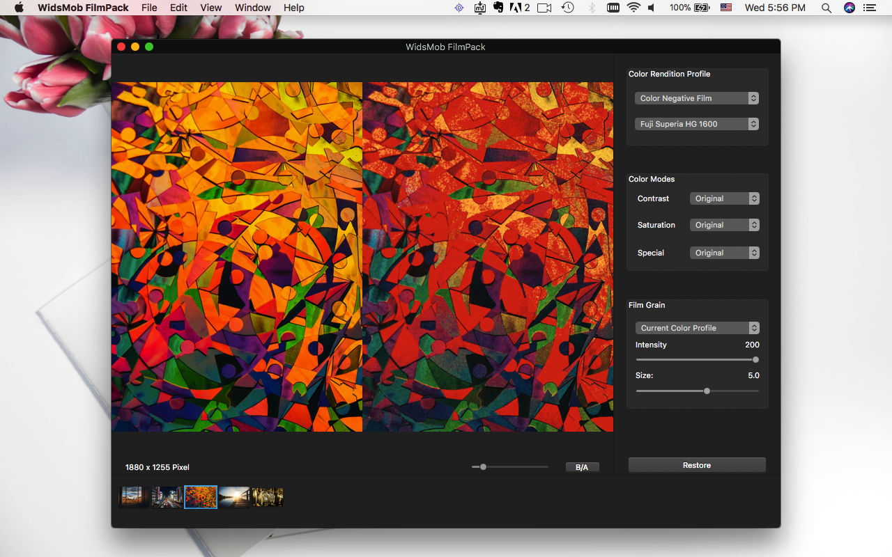 WidsMob FilmPack 2.9 照片滤镜软件 WidsMob FilmPack 2.9 照片滤镜软件