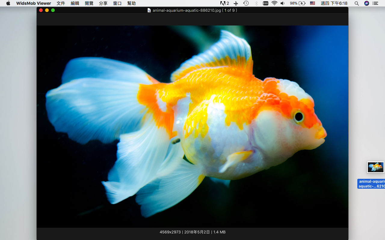 WidsMob Image Viewer 2.10 快速图像查看器 WidsMob Image Viewer 2.10 快速图像查看器