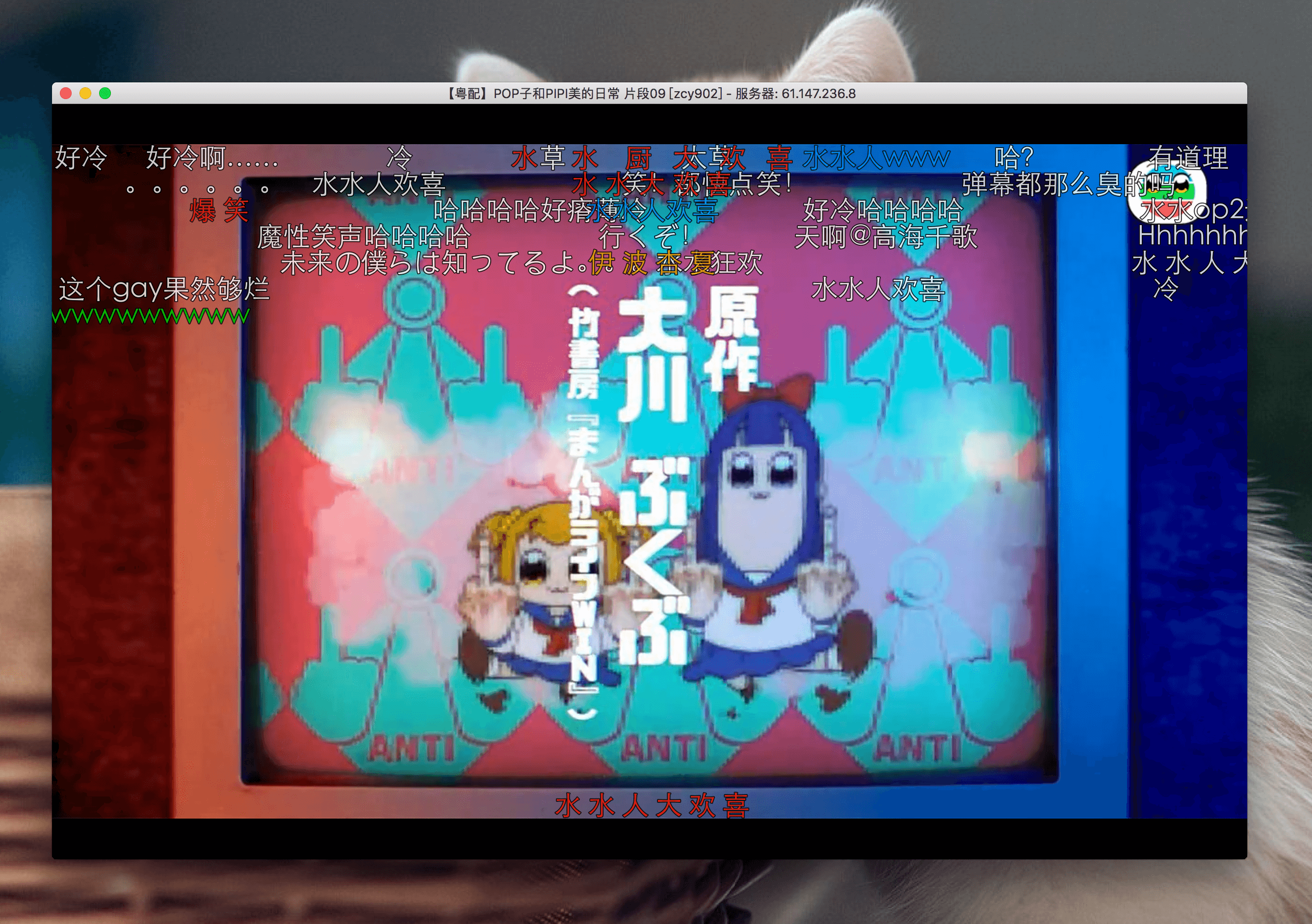 Bilibili 2.54 低占用不发热 Bilibili 2.54 低占用不发热