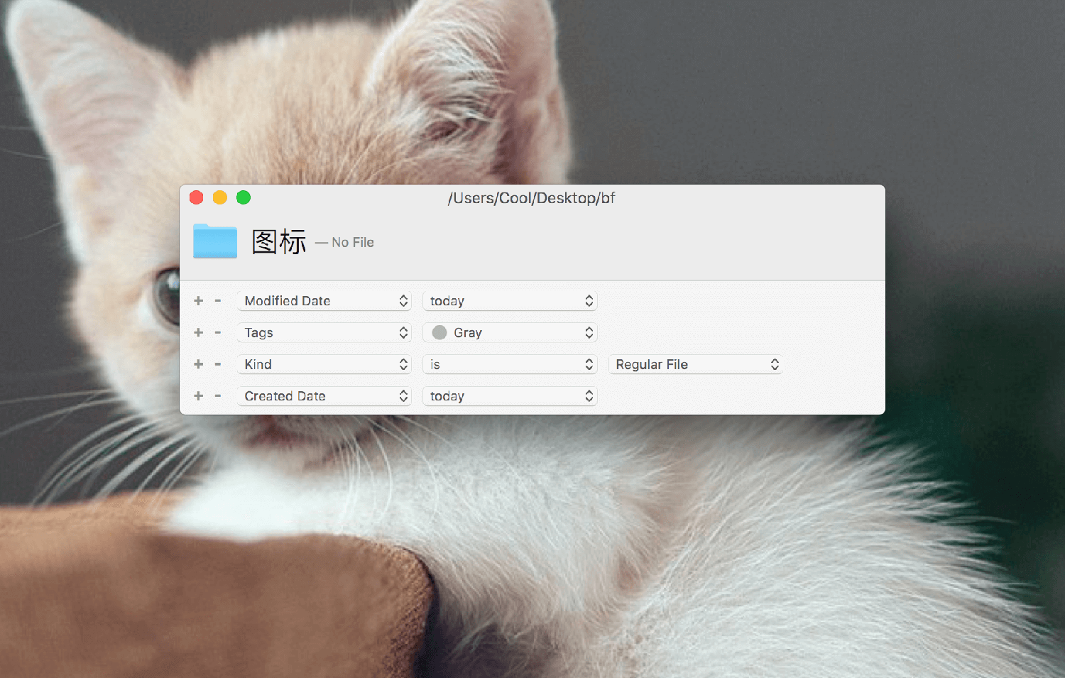SpotFiles 3.0.19 文件管理软件 SpotFiles 3.0.19 文件管理软件