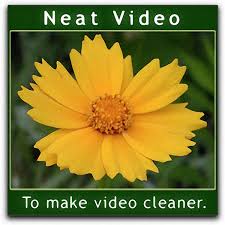 Neat Video Pro 4.8.8 for Mac|Mac版下载 | 视频降噪插件