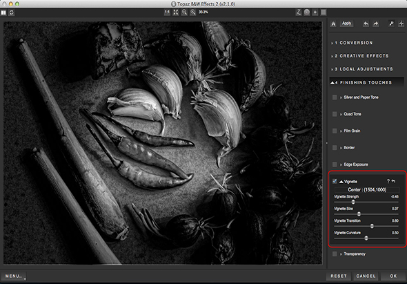 Topaz B&W Effects 2 2.1.0 for Mac|Mac版下载 |