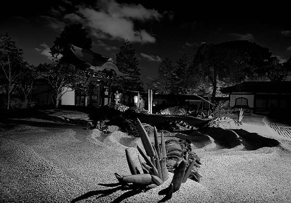 Topaz B&W Effects 2 2.1.0 for Mac|Mac版下载 |