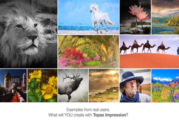 Topaz Impression 1.1.2 for Mac|Mac版下载 |