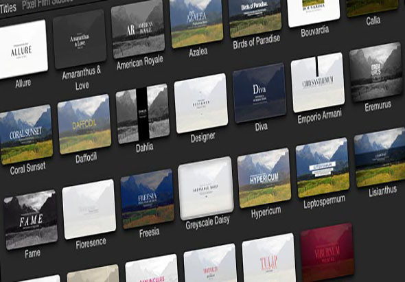 PIXEL FILM STUDIOS-PROINTRO VOLUME 2 1.0 for Mac|Mac版下载 |