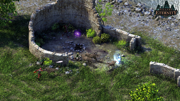 永恒之柱:终极版 3.07 for Mac|Mac版下载 | Pillars of Eternity: Definitive Edition