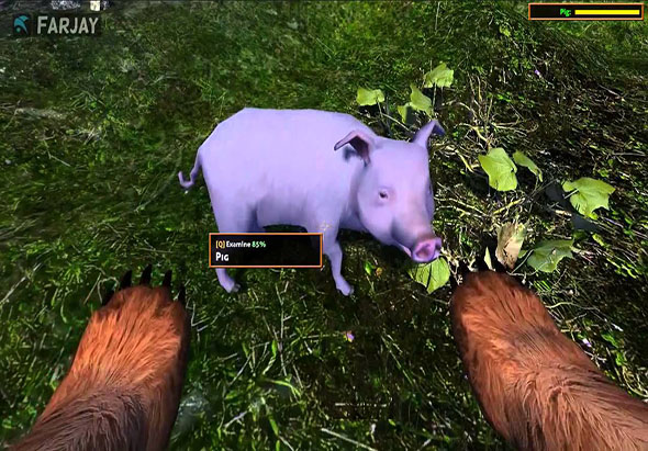 模拟野熊 1.0 for Mac|Mac版下载 | Bear Simulator