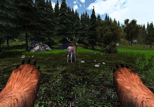 模拟野熊 1.0 for Mac|Mac版下载 | Bear Simulator