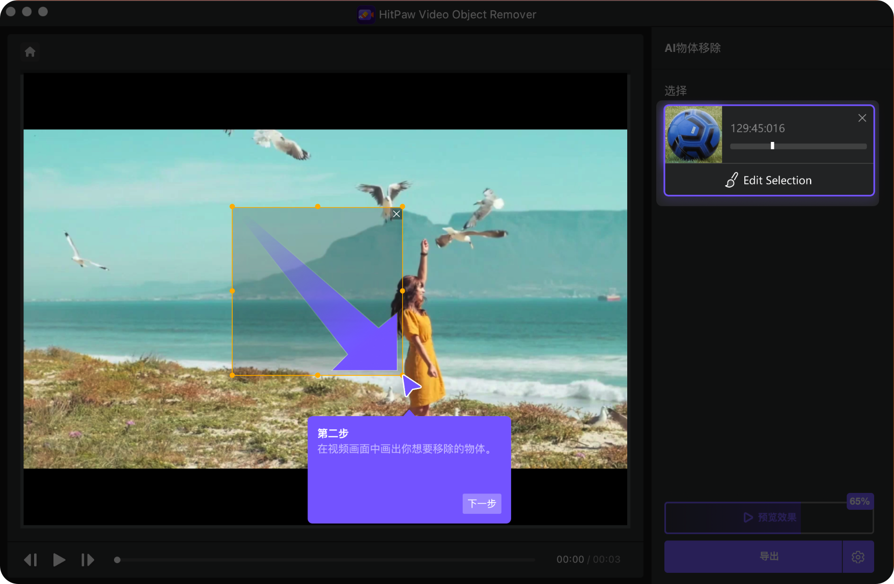 HitPaw Video Object Remover 1.2.0 for Mac|Mac版下载 | 智能去除视频目标对象