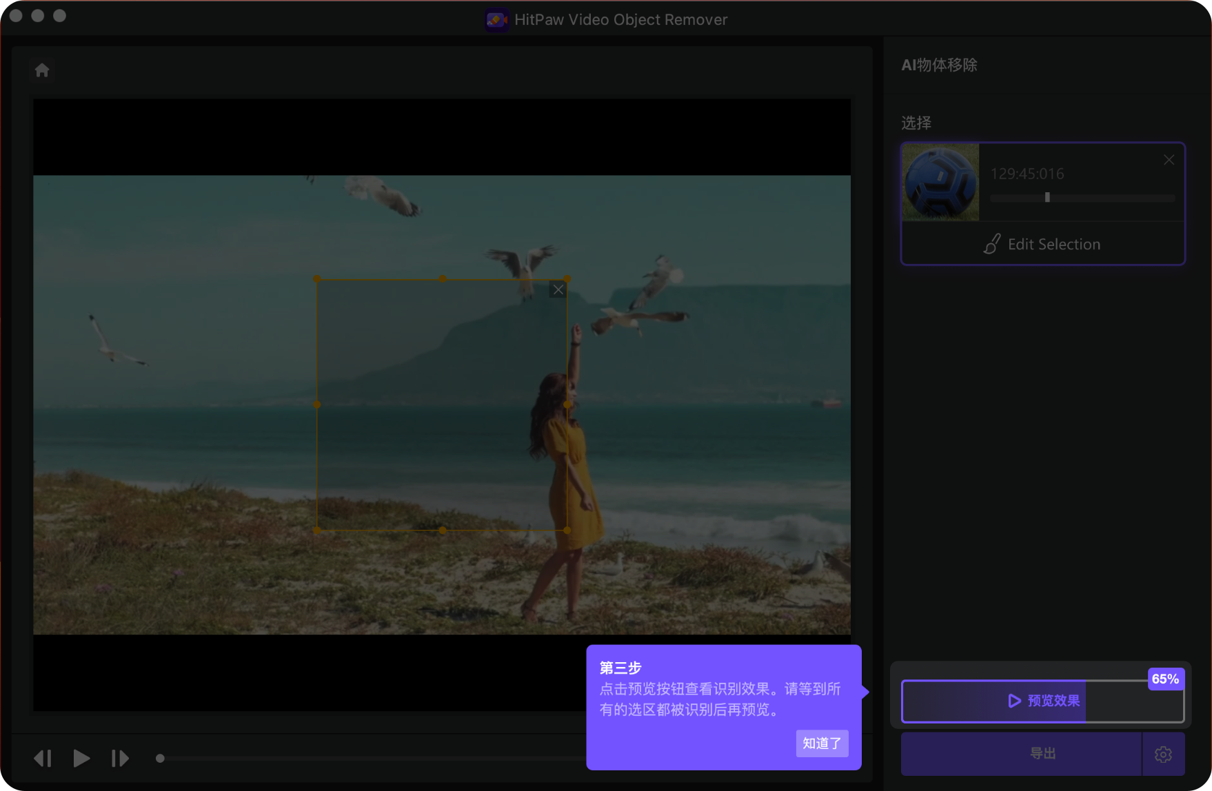 HitPaw Video Object Remover 1.2.0 for Mac|Mac版下载 | 智能去除视频目标对象