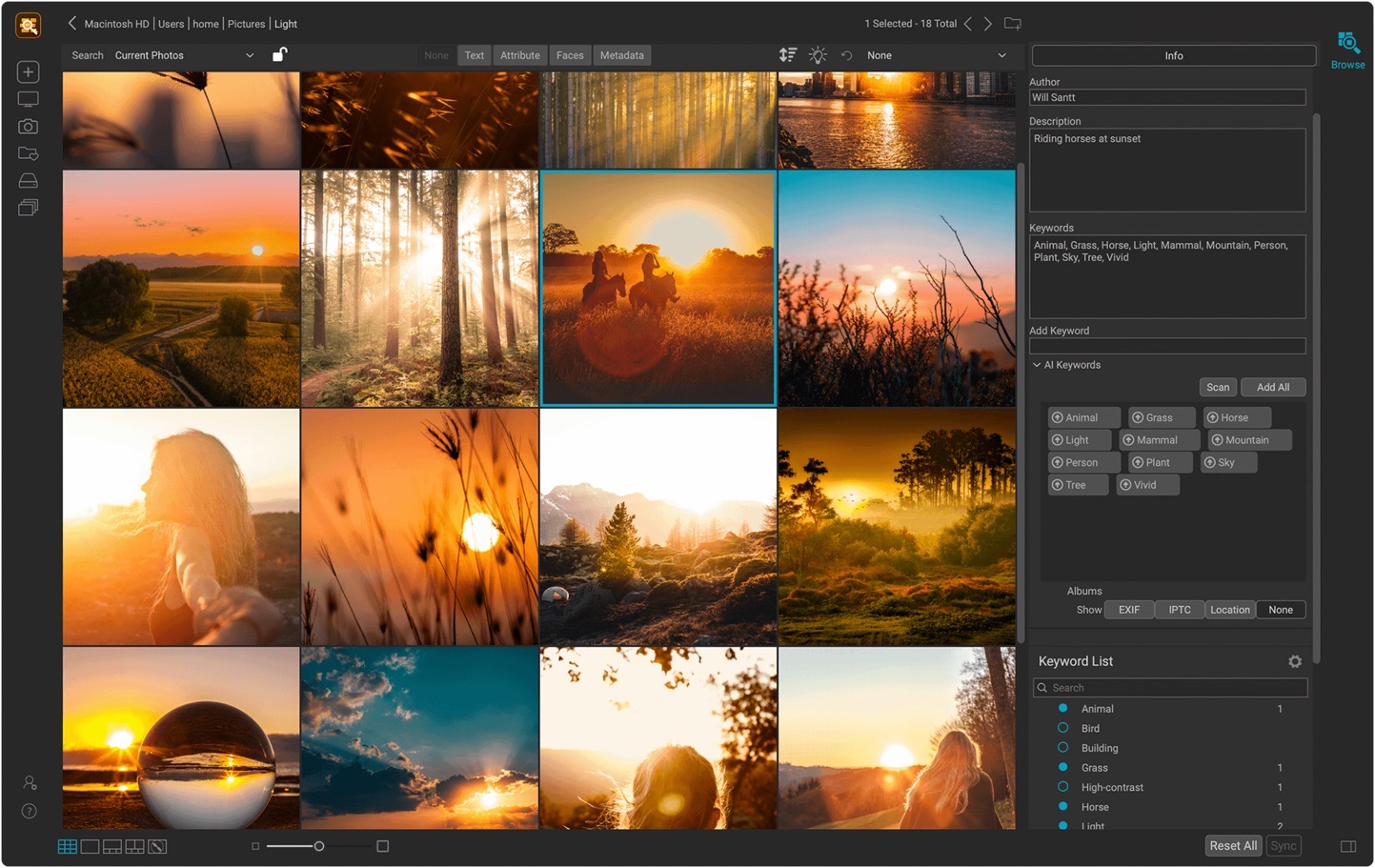 ON1 Photo Keyword AI 17.5.1 for Mac|Mac版下载 | AI智能查找照片