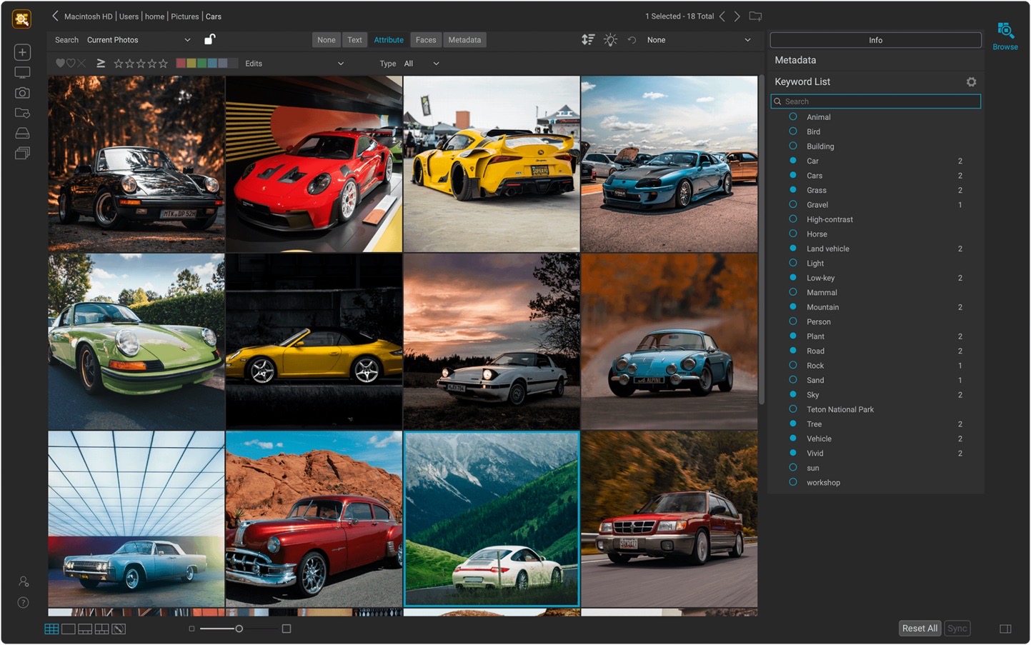ON1 Photo Keyword AI 17.5.1 for Mac|Mac版下载 | AI智能查找照片