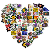 FigrCollage 3.3.7 for Mac|Mac版下载 | 照片拼贴工具 FigrCollage 3.3.7 for Mac|Mac版下载 | 照片拼贴工具