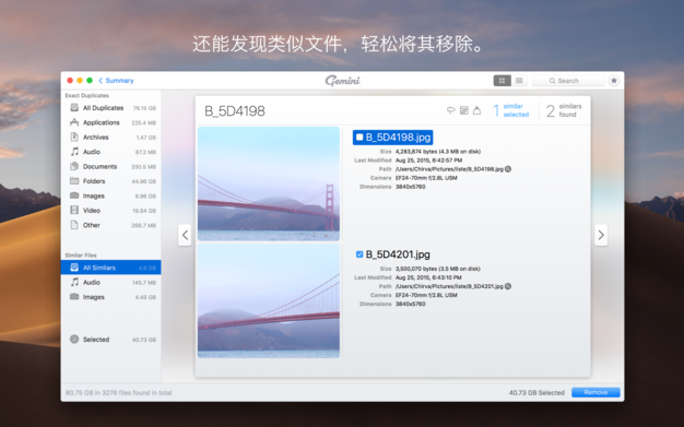 Gemini 2 2.9.8 for Mac|Mac版下载 | 重复文件查找工具
