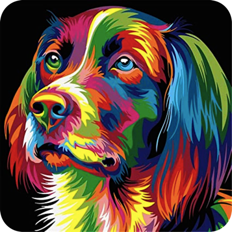 Splash n Recolor(Image Splash) 4.3 for Mac|Mac版下载 | 将照片局部转换成黑白 Splash n Recolor(Image Splash) 4.3 for Mac|Mac版下载 | 将照片局部转换成黑白
