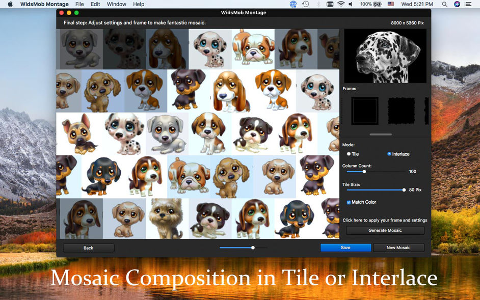 WidsMob Montage 3.26 for Mac|Mac版下载 | 照片拼贴制作