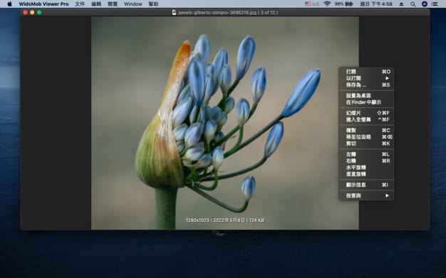 WidsMob Viewer Pro 2.19 for Mac|Mac版下载 | 图像查看器