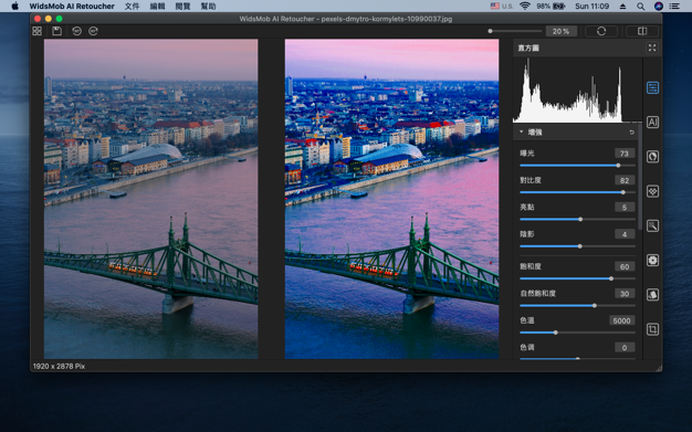 WidsMob AI Retoucher 3.16 for Mac|Mac版下载 | 照片美化编辑