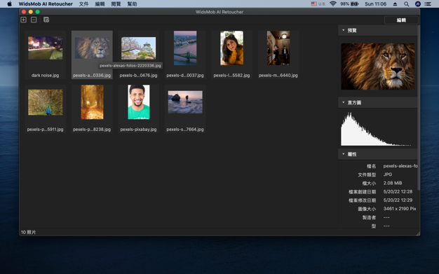 WidsMob AI Retoucher 3.16 for Mac|Mac版下载 | 照片美化编辑