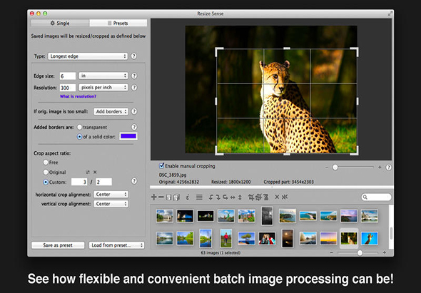 Resize Sense 2.3.3 for Mac|Mac版下载 | 批量图像处理软件