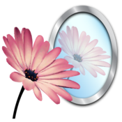 PhotoReflector 1.1 for Mac|Mac版下载 | 图片倒影特效工具