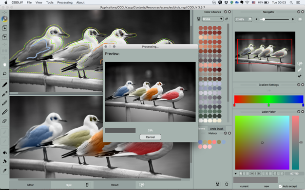 CODIJY Recoloring 4.2.0 for Mac|Mac版下载 | 照片调色软件