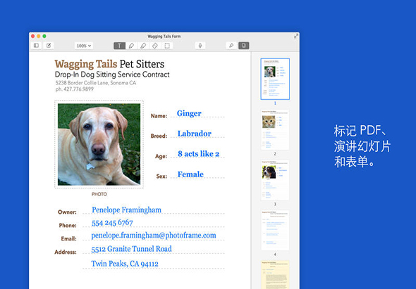 Notability 4.4.4 for Mac|Mac版下载 | 笔记应用