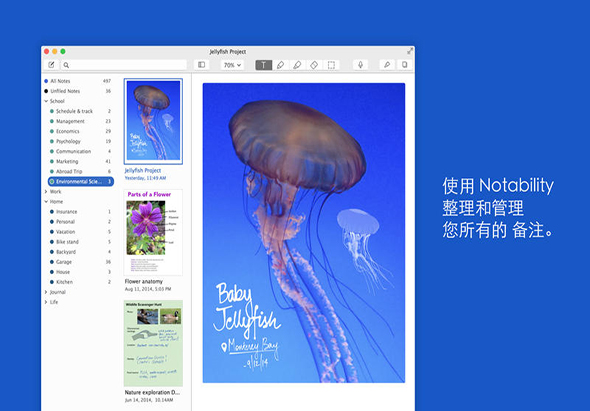 Notability 4.4.4 for Mac|Mac版下载 | 笔记应用