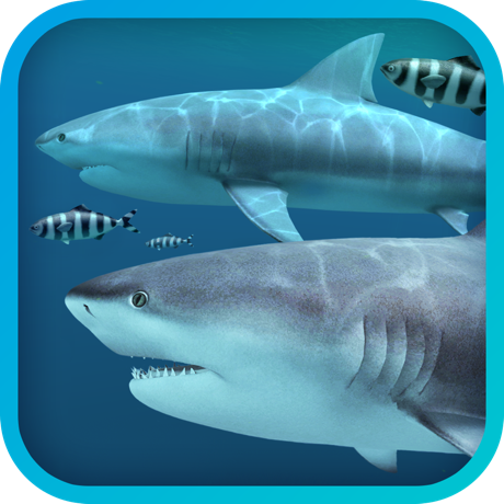 Sharks 3D 2.1.0 for Mac|Mac版下载 | 3D屏保 Sharks 3D 2.1.0 for Mac|Mac版下载 | 3D屏保