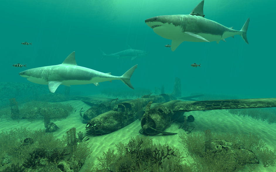 Sharks 3D 2.1.0 for Mac|Mac版下载 | 3D屏保