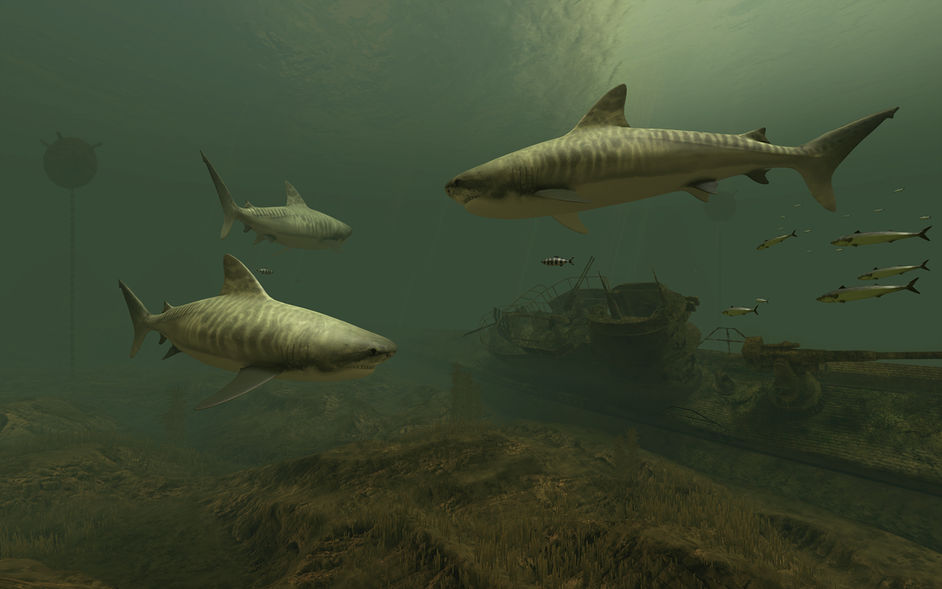 Sharks 3D 2.1.0 for Mac|Mac版下载 | 3D屏保