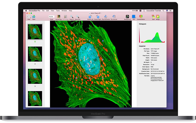 CoLocalizer Pro 7.0.2 for Mac|Mac版下载 | 图像分析工具