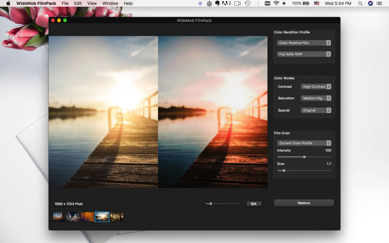 WidsMob FilmPack 2.9 for Mac|Mac版下载 | 模拟电影效果照片滤镜