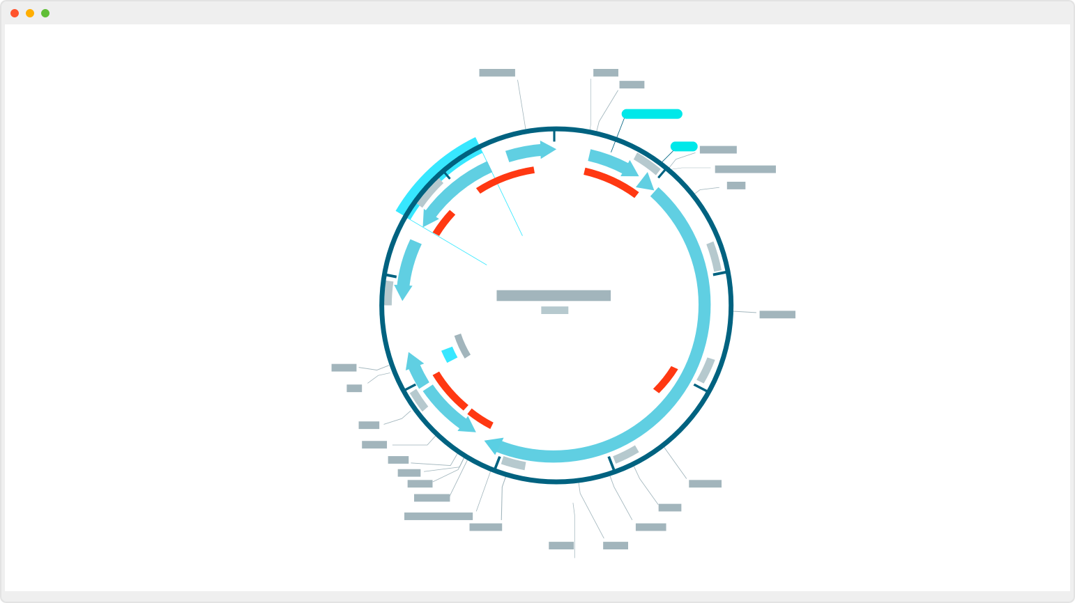 SnapGene 5.3.1 for Mac|Mac版下载 | 分子克隆工具