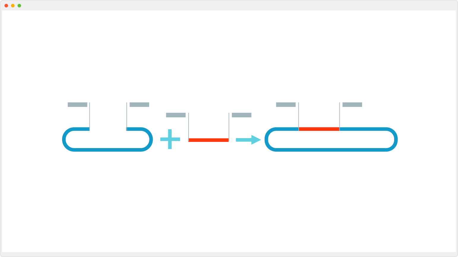 SnapGene 5.3.1 for Mac|Mac版下载 | 分子克隆工具