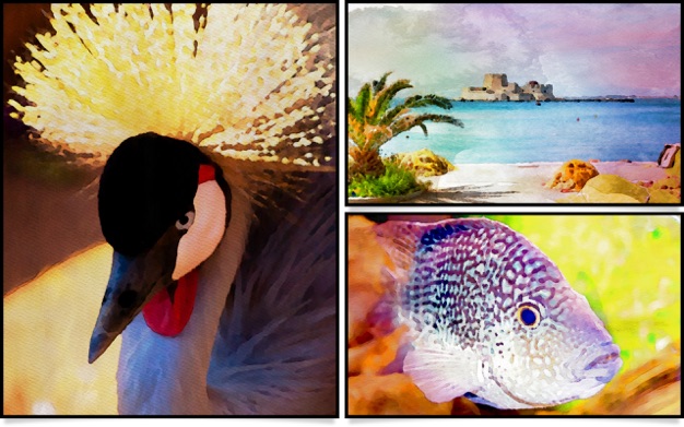 Aquarella 1.38 for Mac|Mac版下载 | 将照片转换成水彩画