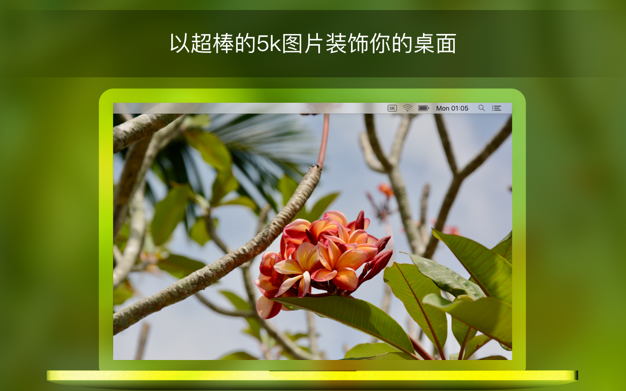 Retina 5K Wallpaper Set 3.4.1 for Mac|Mac版下载 | 5K壁纸合集