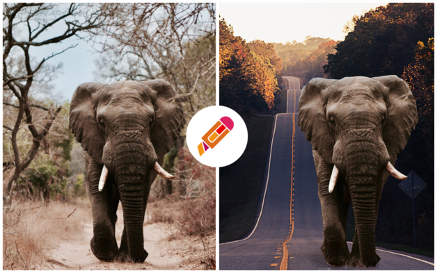 InPixio Photo Cutter 1.5.92 for Mac|Mac版下载 | 抠图软件