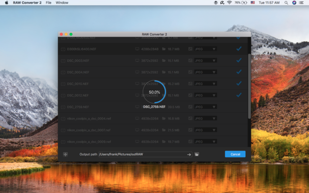 RAW Converter 2 2.6 for Mac|Mac版下载 | RAW照片格式转换