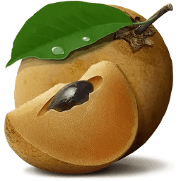 Chikoo 1.1 for Mac|Mac版下载 | 文件组织管理工具 Chikoo 1.1 for Mac|Mac版下载 | 文件组织管理工具